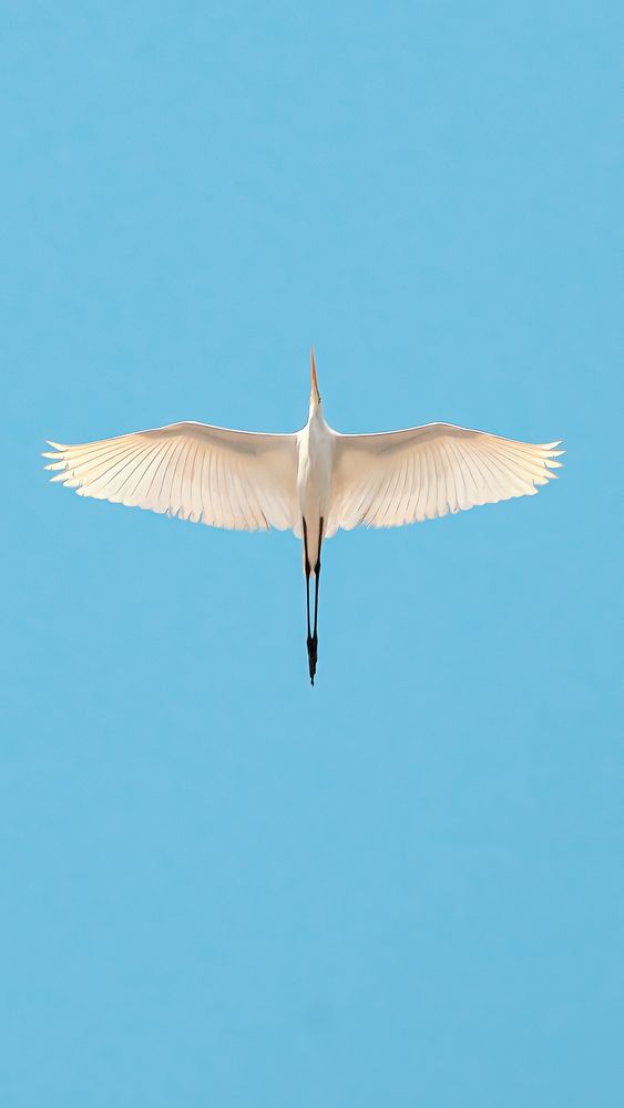 Photograph by Chau Nguyen