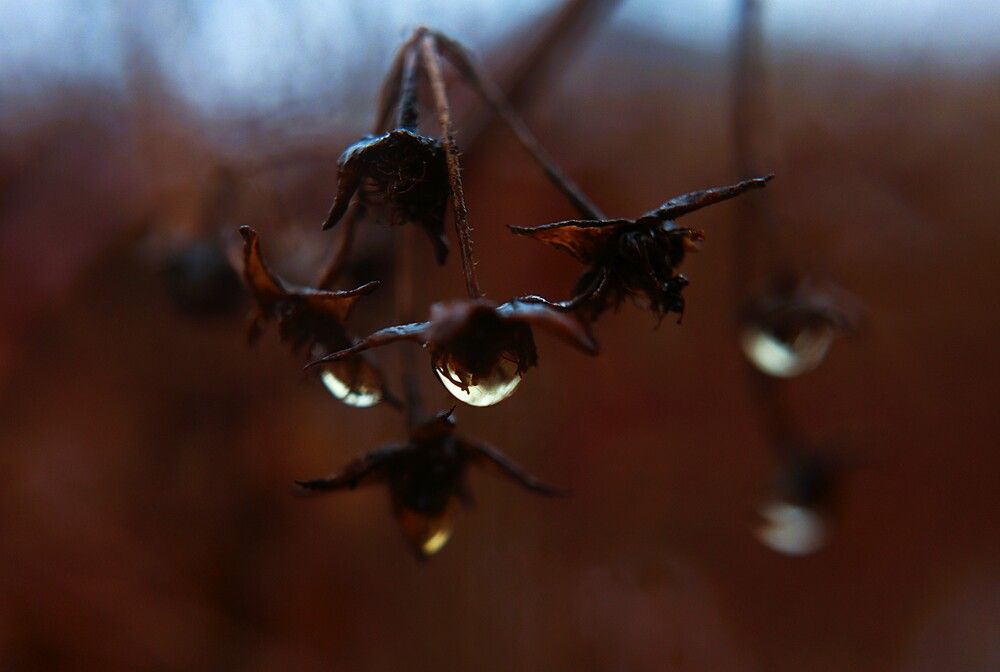 Photograph by Марина А-Б