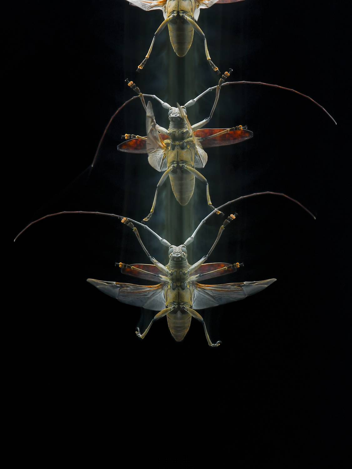 menuju cahaya illahi