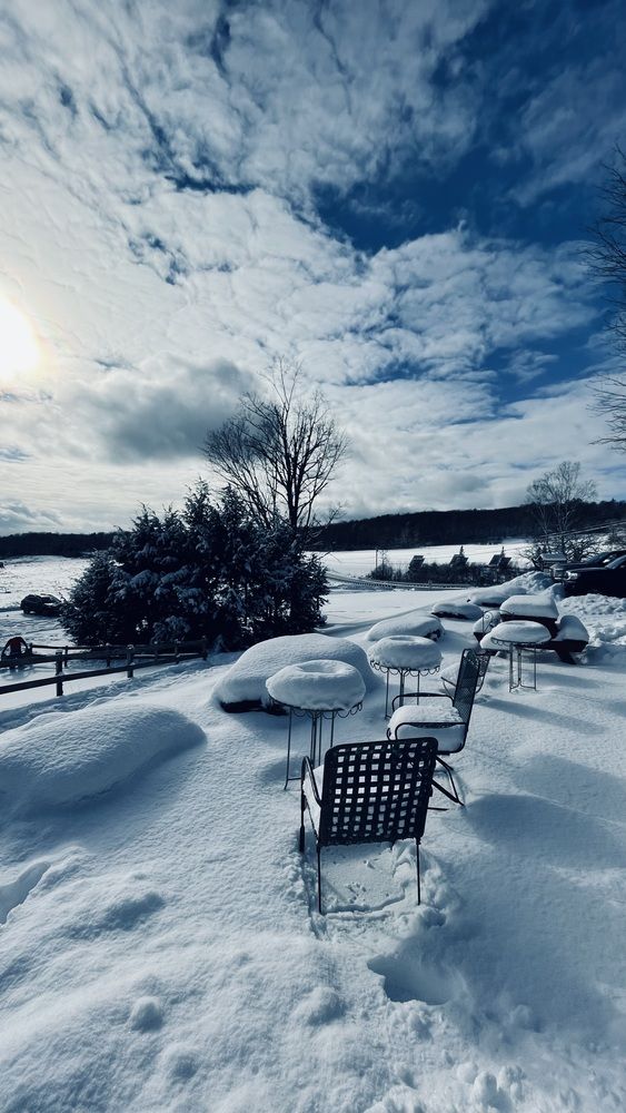 Фотография автора Olga Andriuc