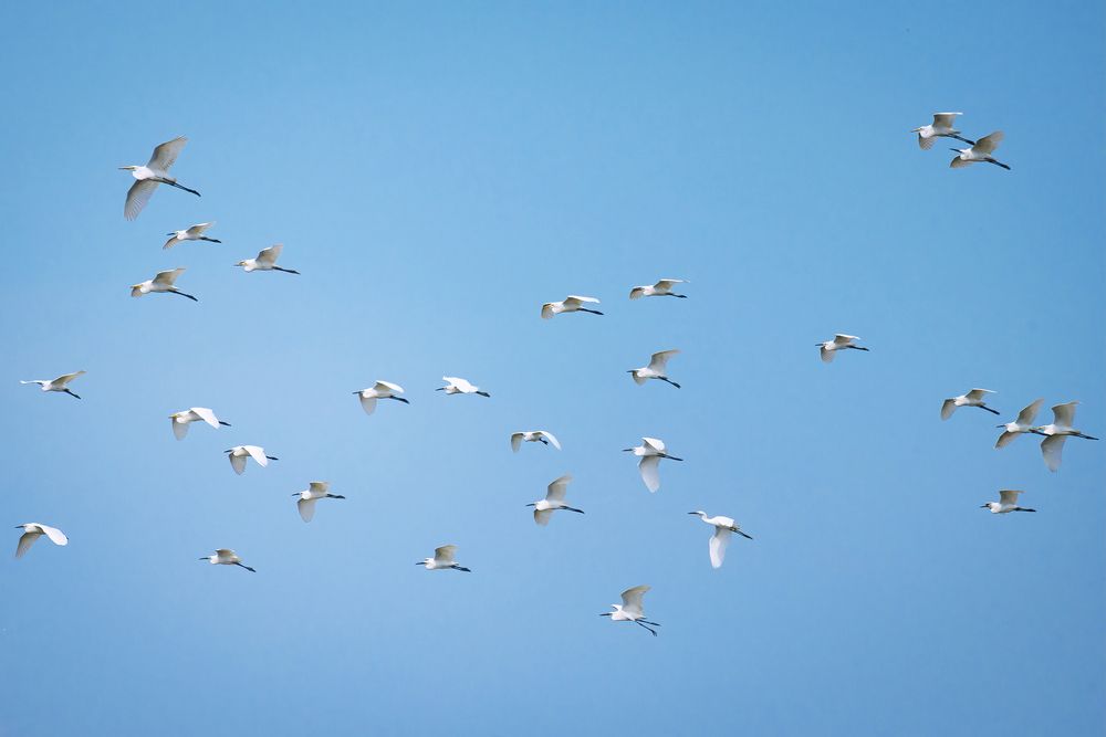 Photograph by Chau Nguyen