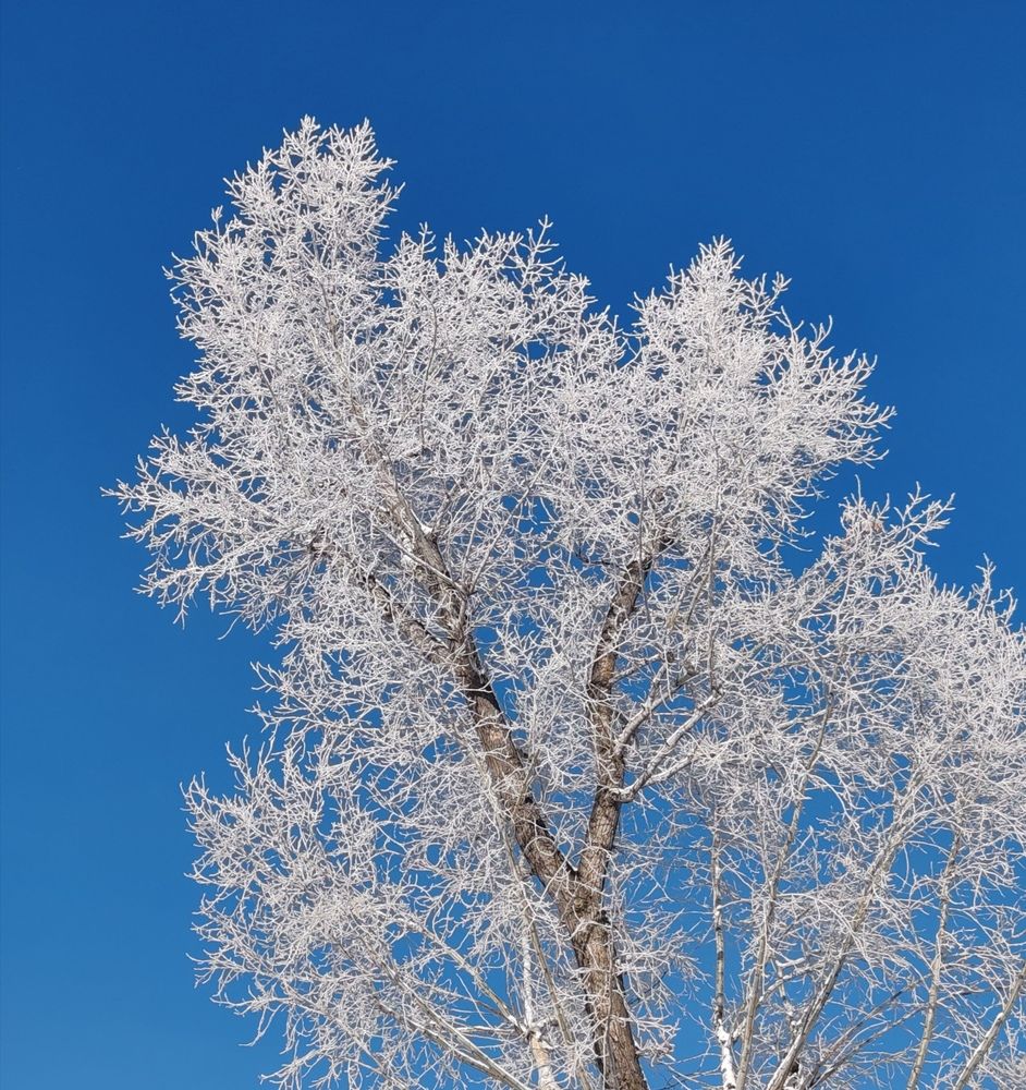 Photograph by Алёна Гильмуллина