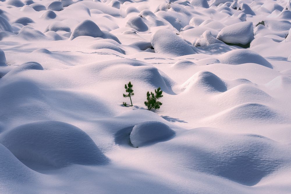 Photograph by Светлана Урманцева