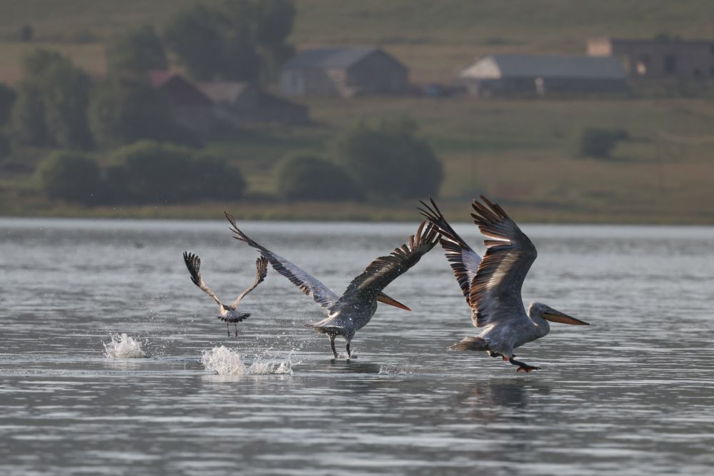 Photograph by Анна Теплицкая