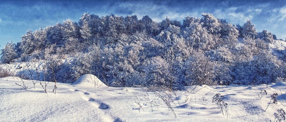 Photograph by Владимир