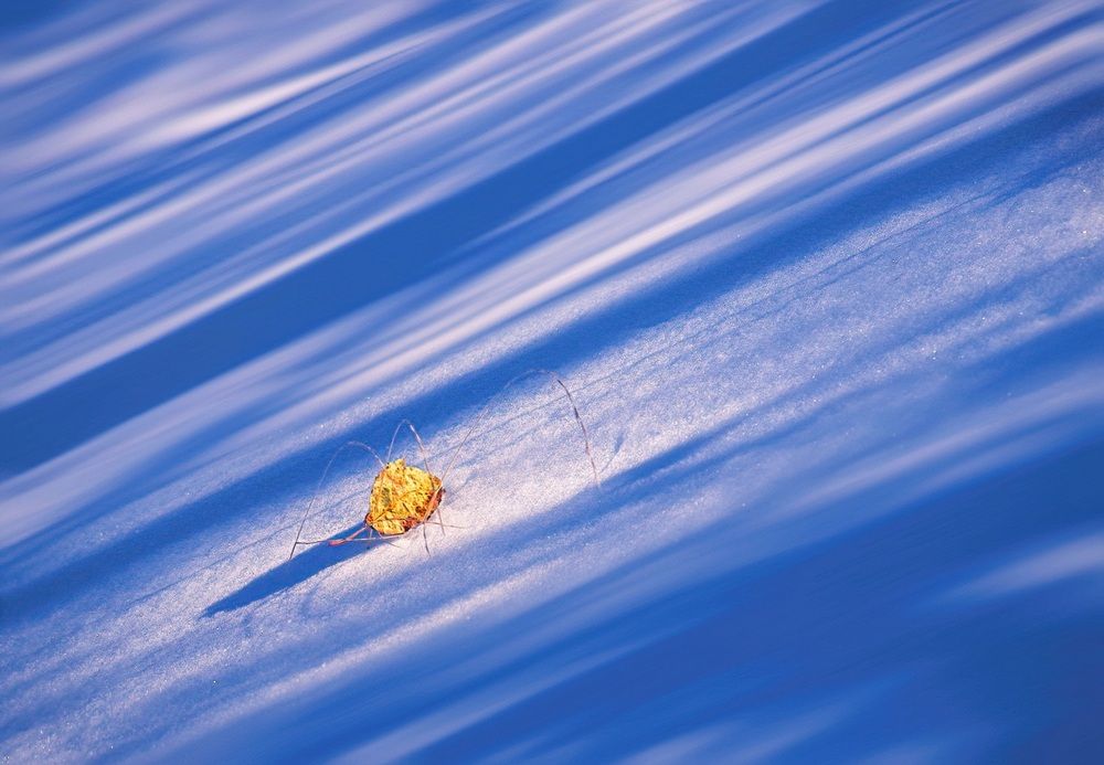 Photograph by Владимир