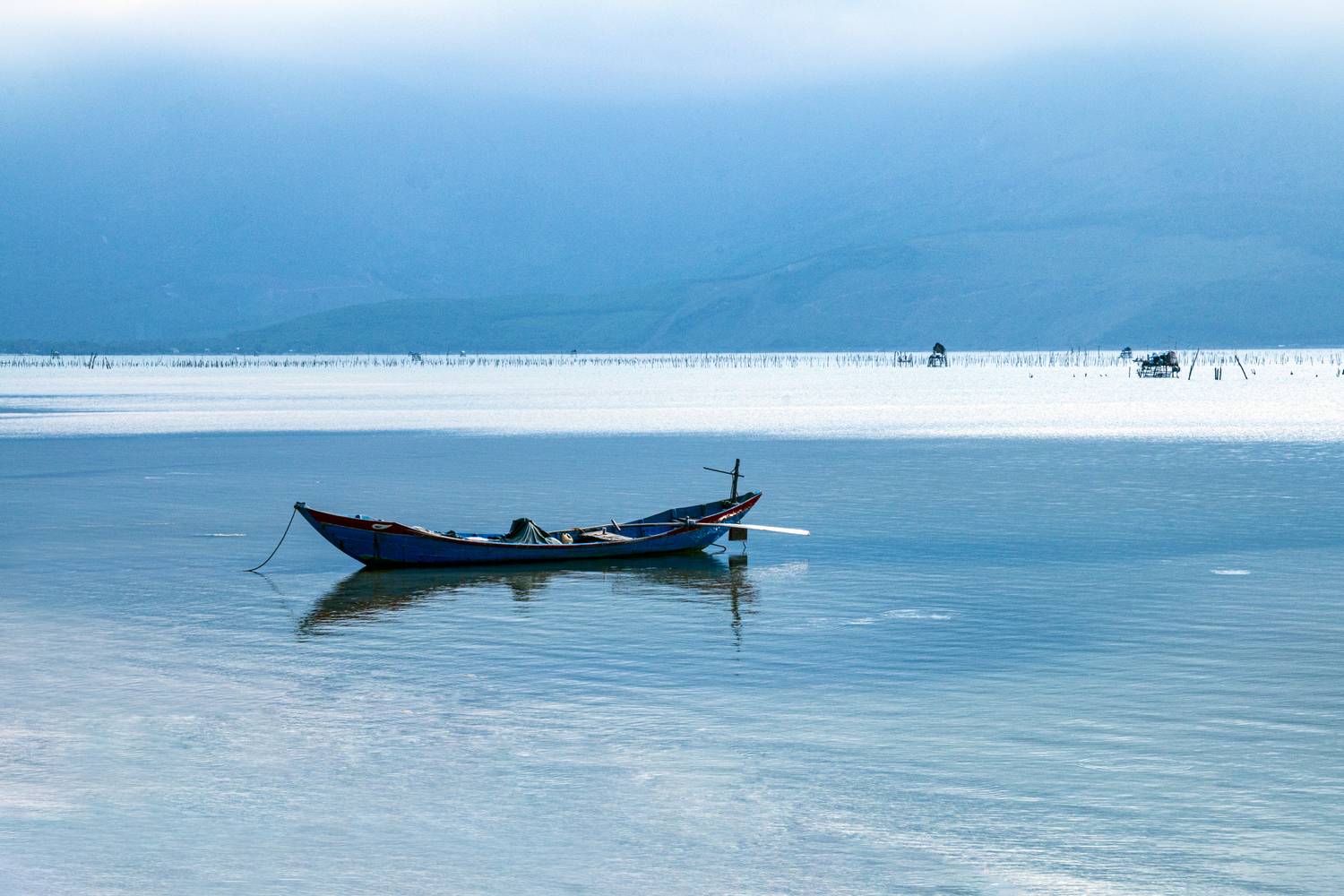 Фотография #12964840