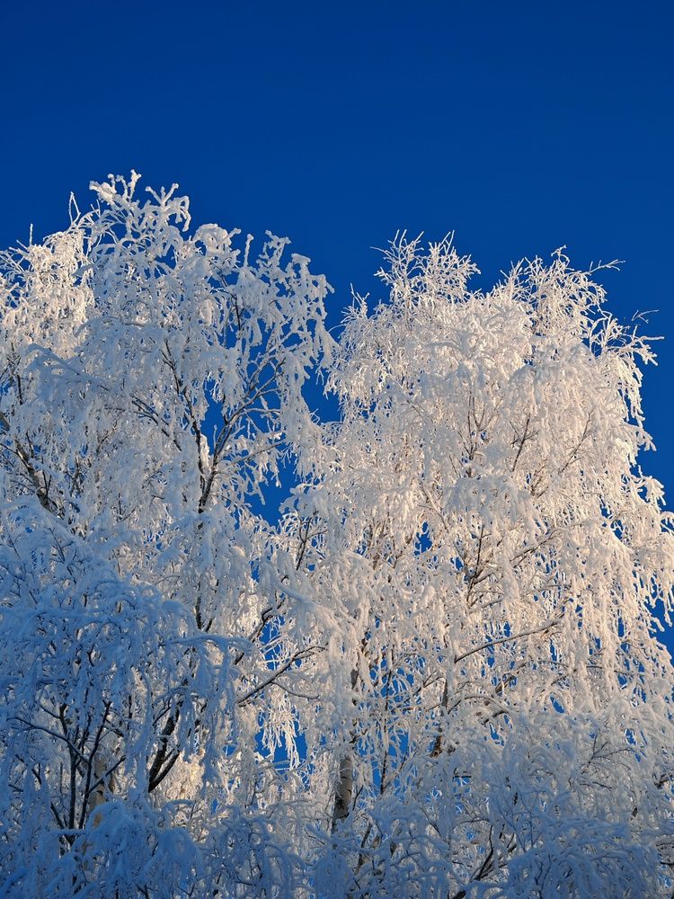 Photograph by Инна Мухина