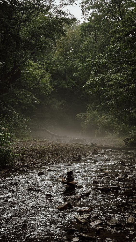 Photograph by Юлия Куклина