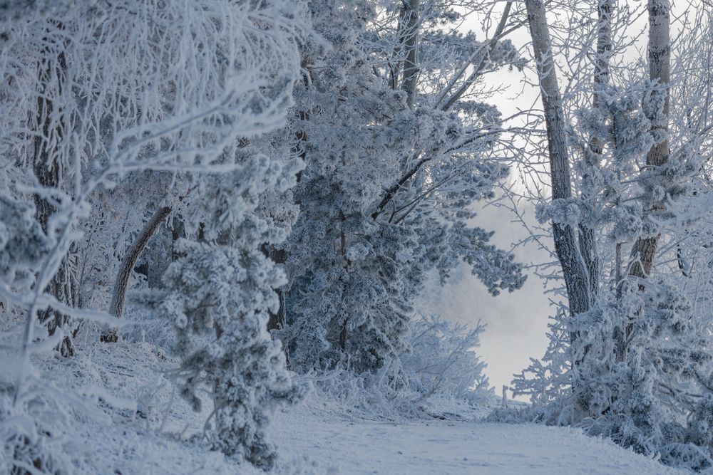 Снежное дыхание