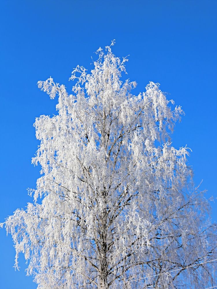 Photograph by Татьяна Слесарева