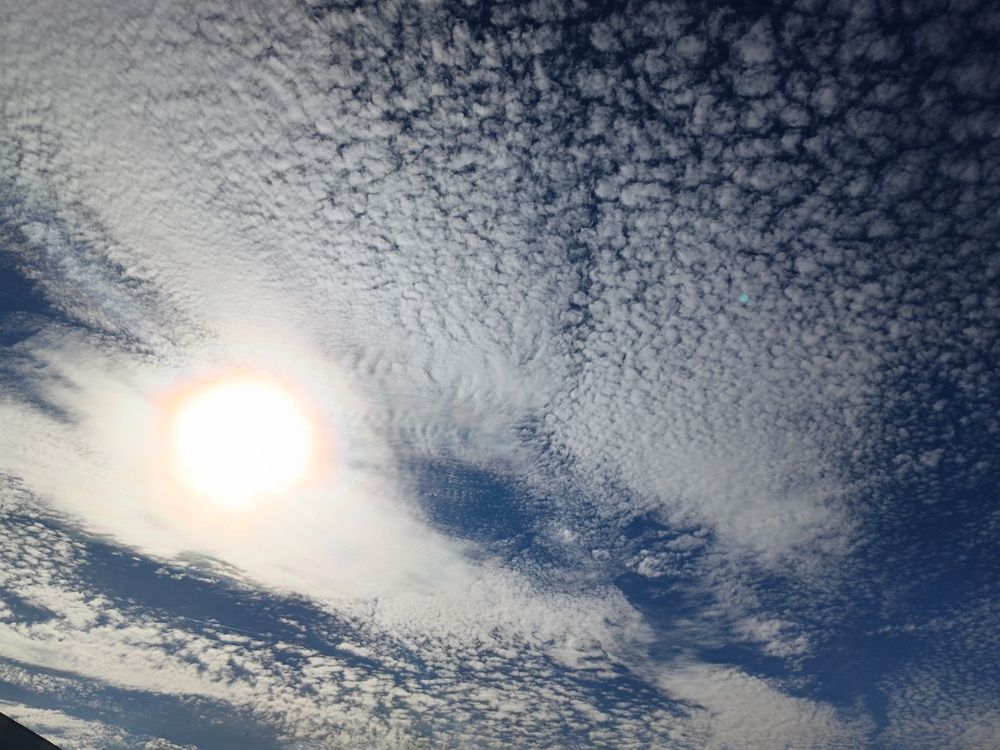 Photo #12964947
