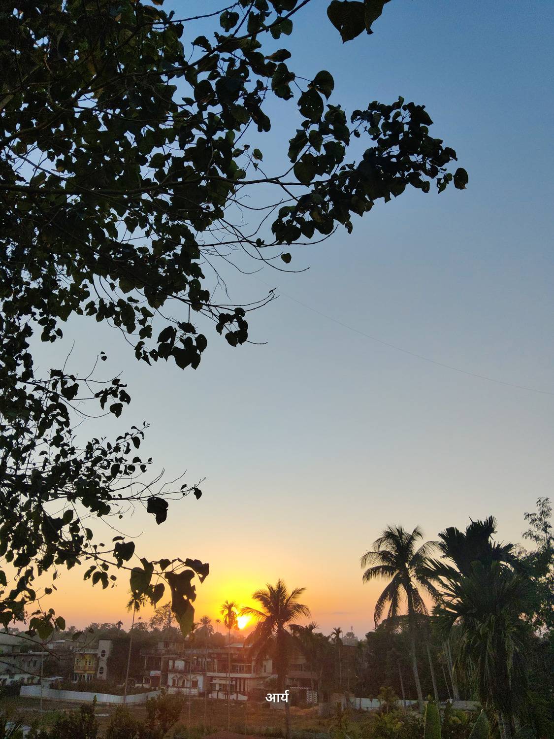 Photo #12964986