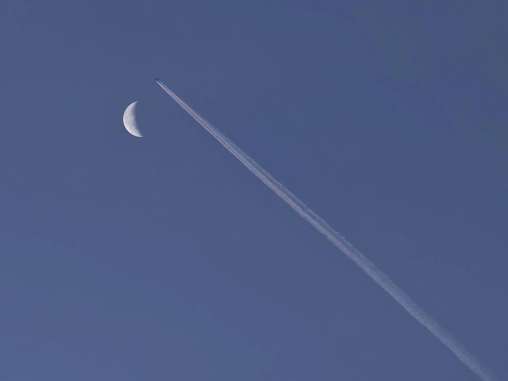 Фотография автора Наташа Данилова