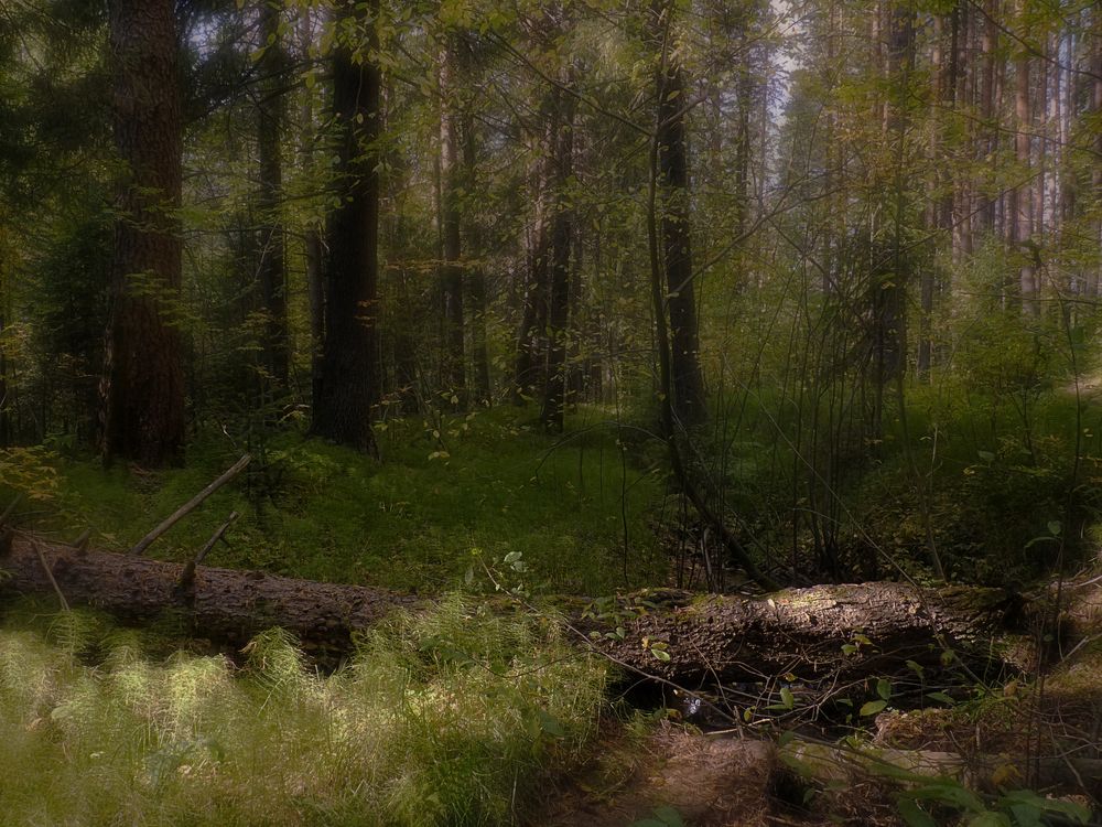 Photograph by Валерий Алфимов