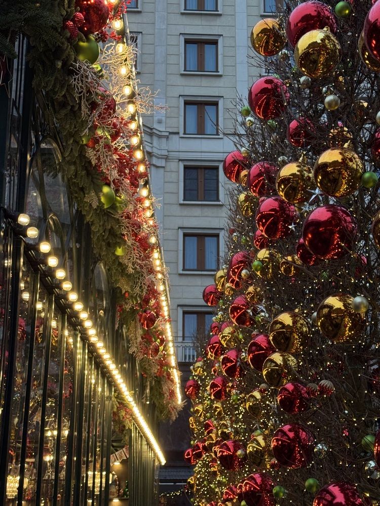 Фотография автора Галина Санчирова