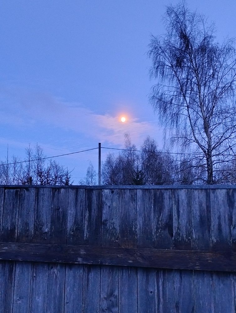 Photograph by Ольга Антохина