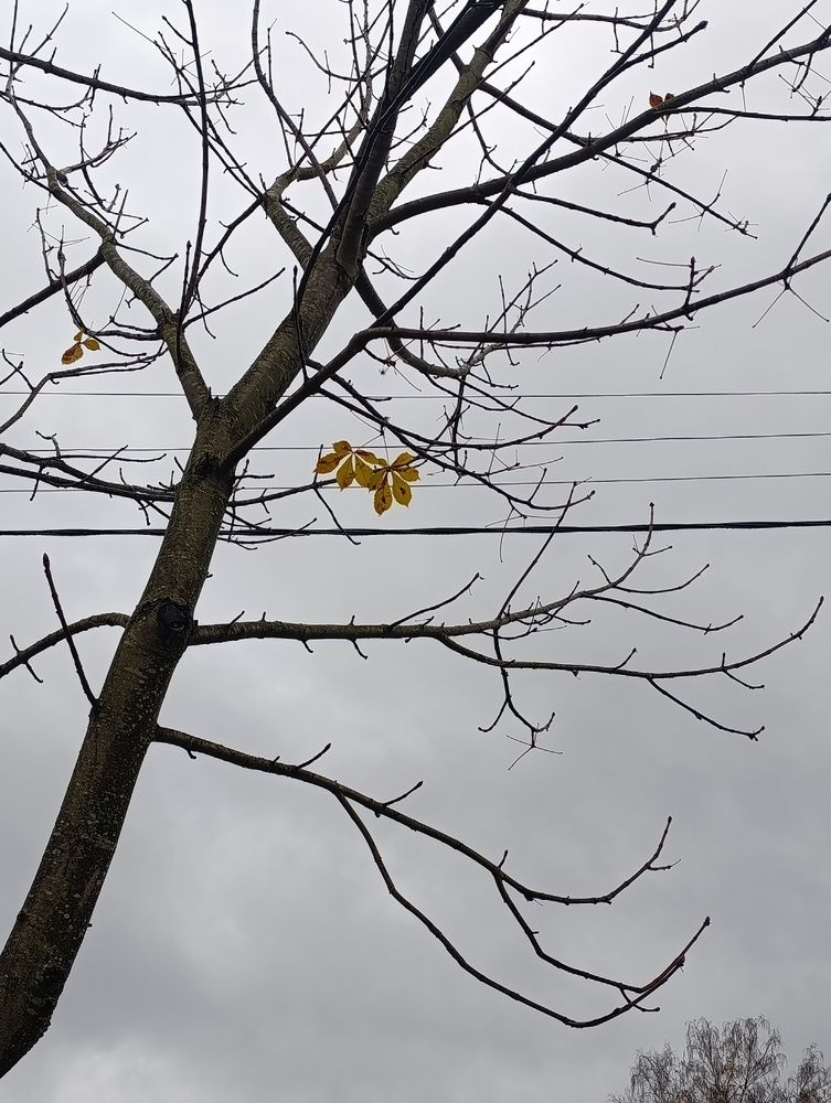 Photograph by Ольга Антохина