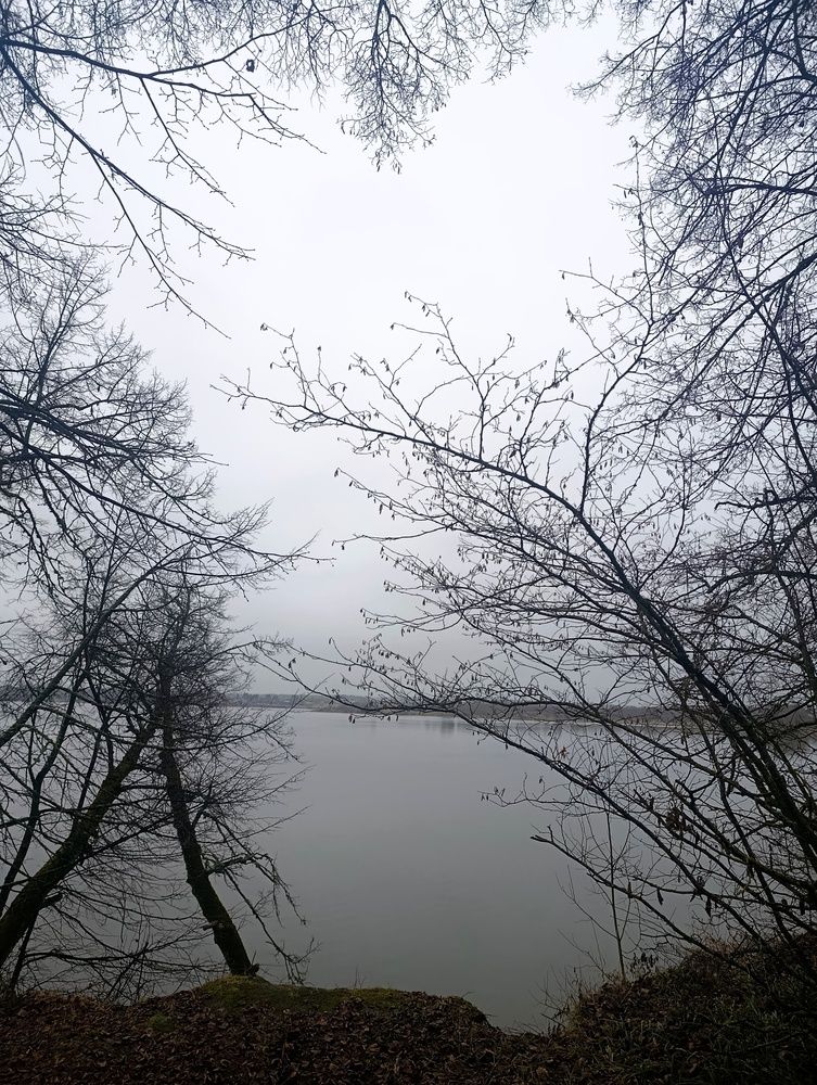 Photograph by Ольга Антохина