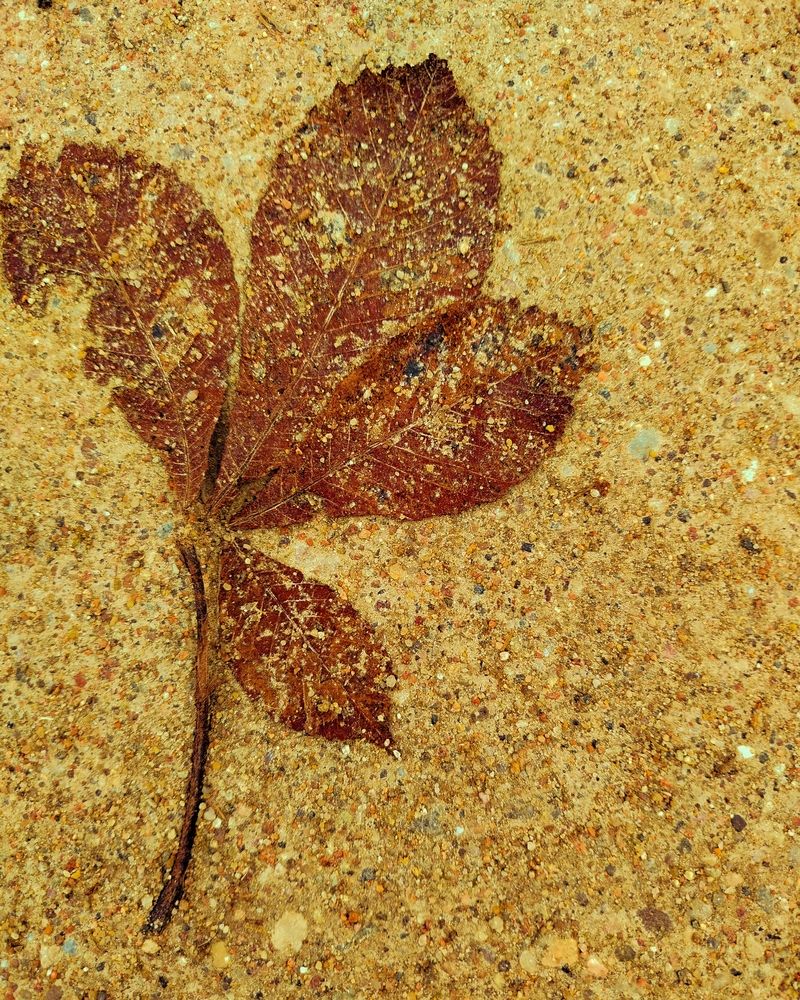 Протяжение