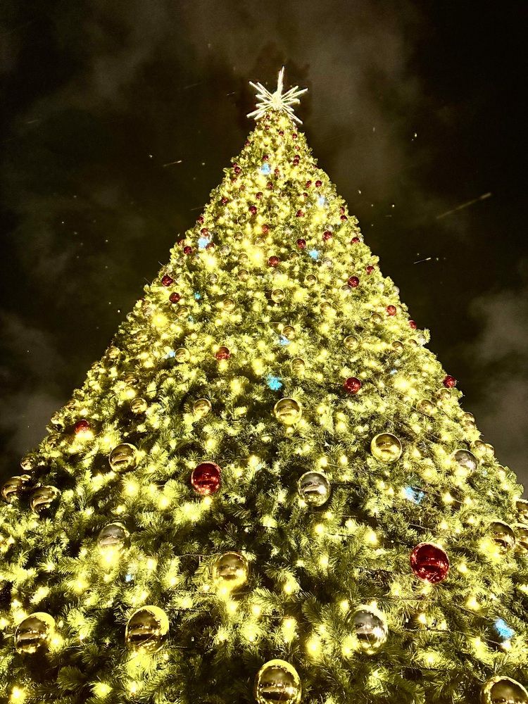 Photograph by Оксана Малышева