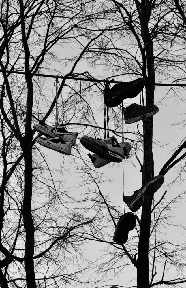 Photograph by Мария Дзюба