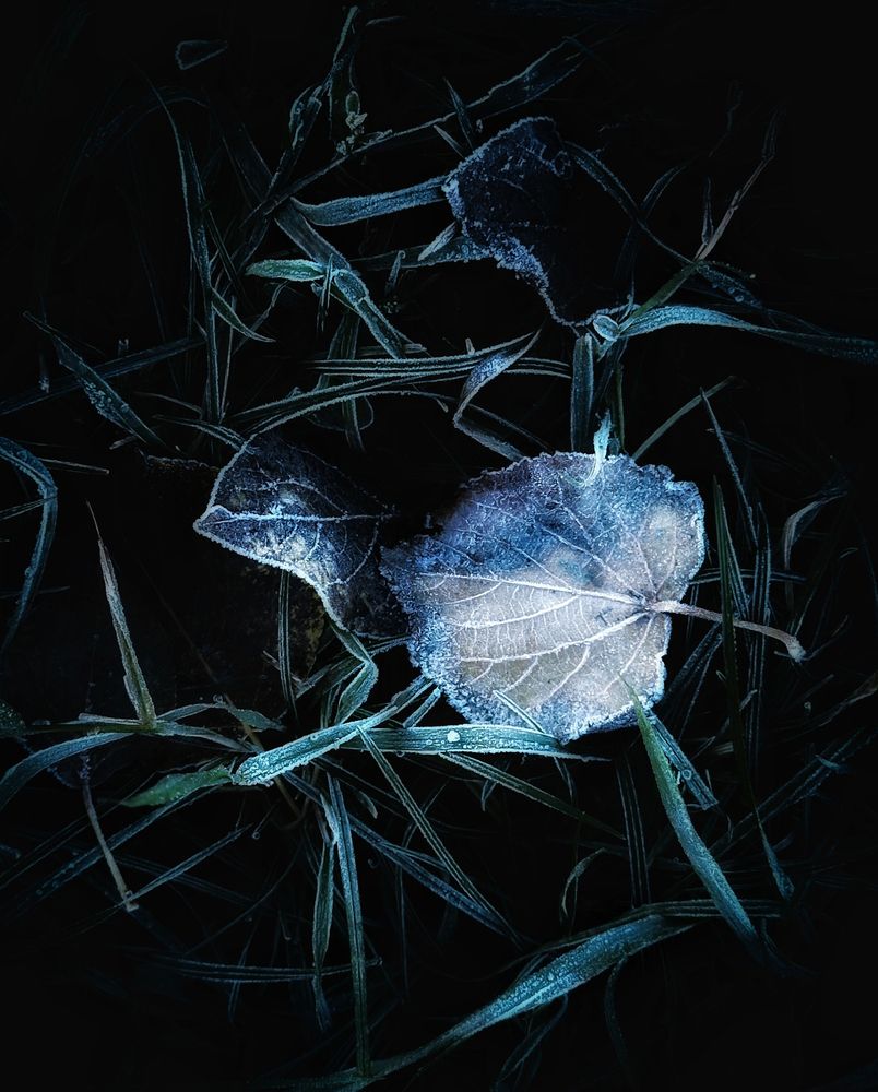 Photograph by Дарья Макаревич