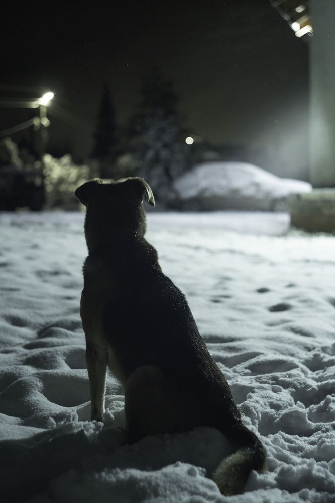 Photograph by Светлана Родыгина