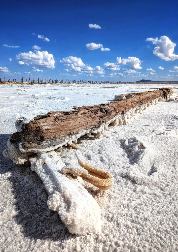 Photograph by AlexaL