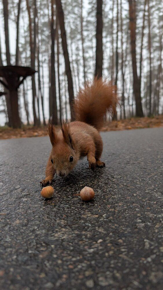 Photograph by Олег Чубайкин