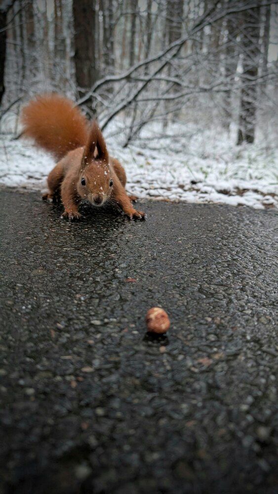 Photograph by Олег Чубайкин