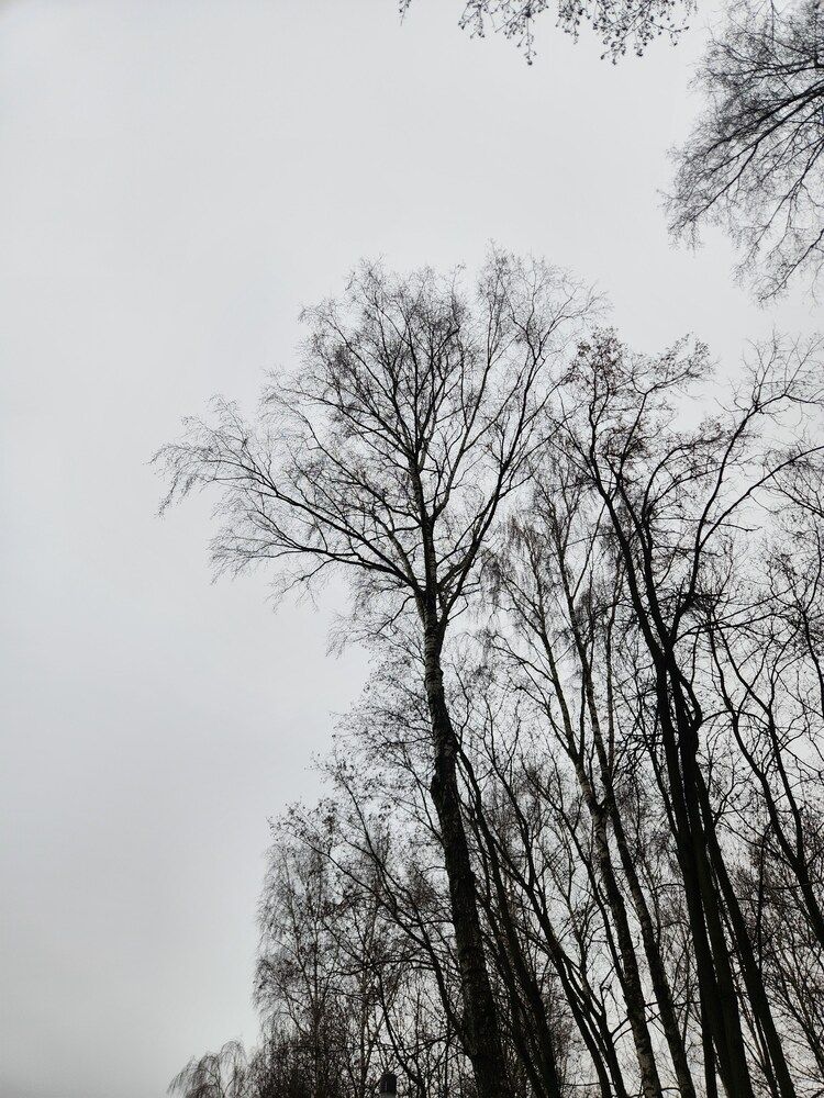 Photograph by Анастасия Веретенникова