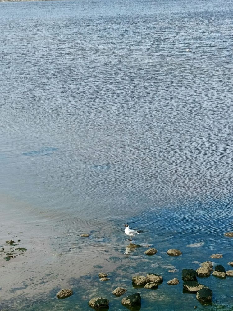 Photograph by Наталья Покрепина