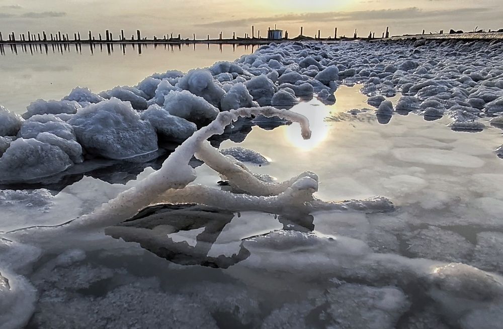 Photograph by Diana Greske