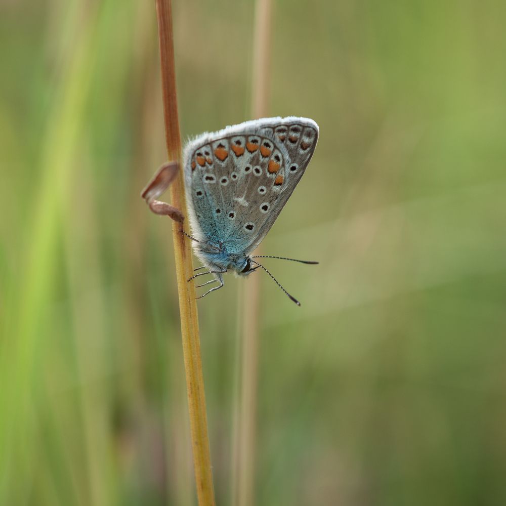 Photograph by Татьяна Эрбутаева