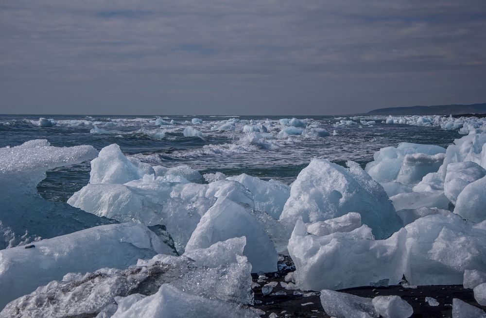 Photograph by Svetlana Rizzo