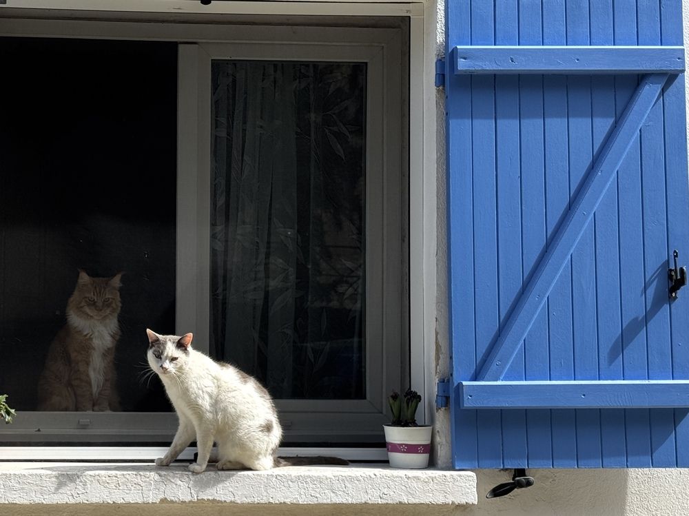 Photograph by Marina Odintsova