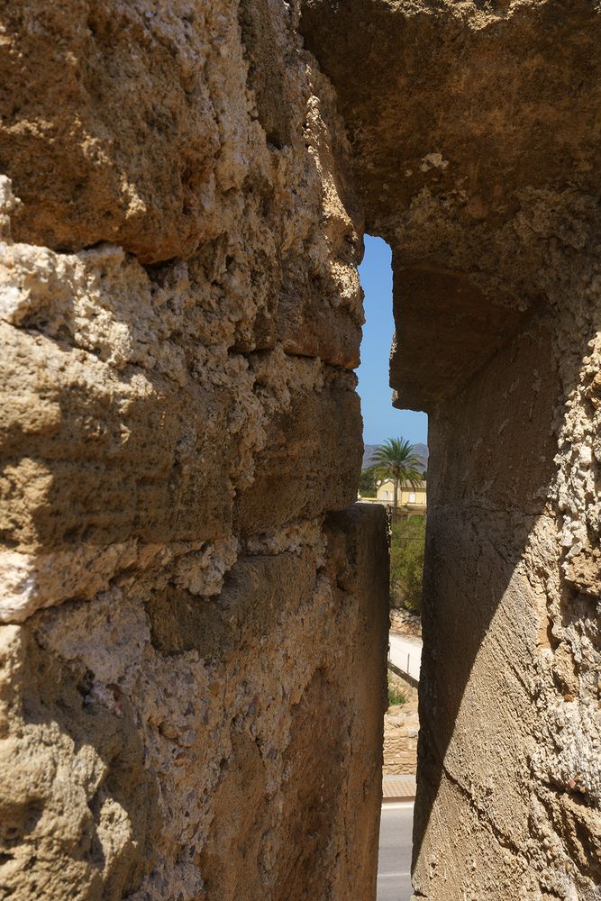 Photograph by Виктория Лаврова