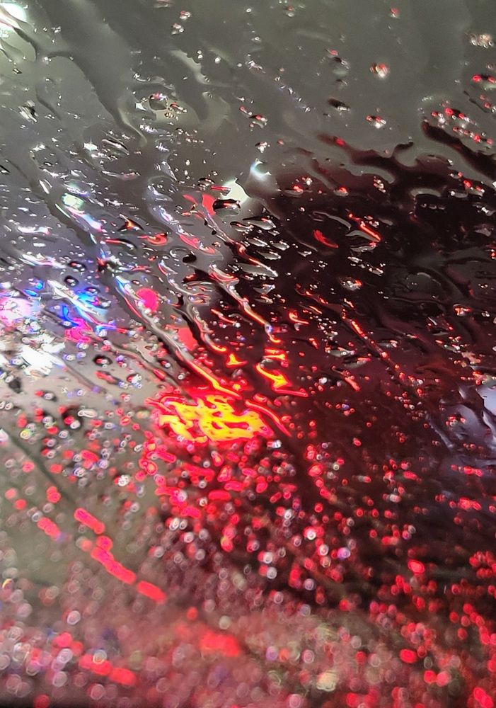 Фотография автора Elena Polonetskaya