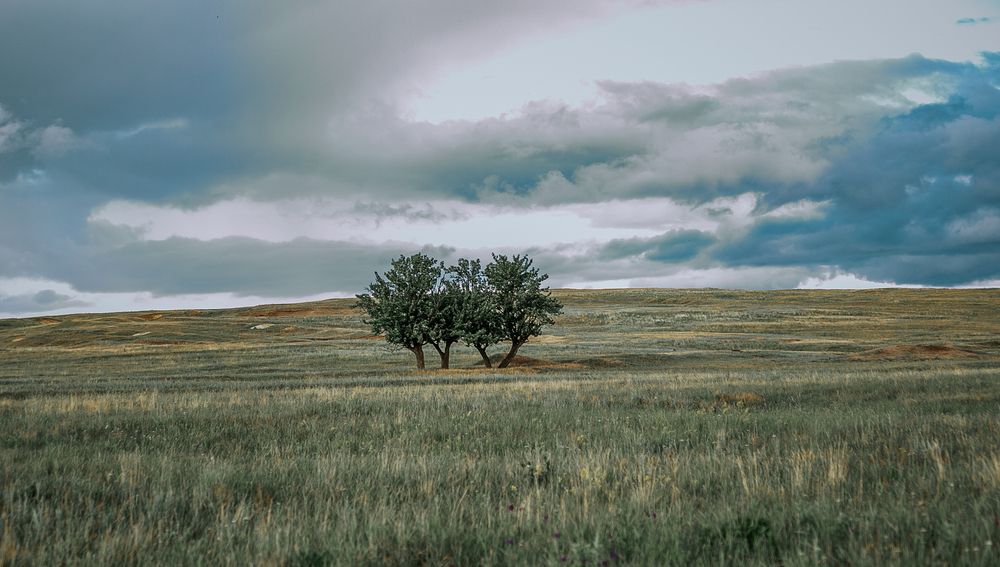 Фотография автора Elena Chilikina