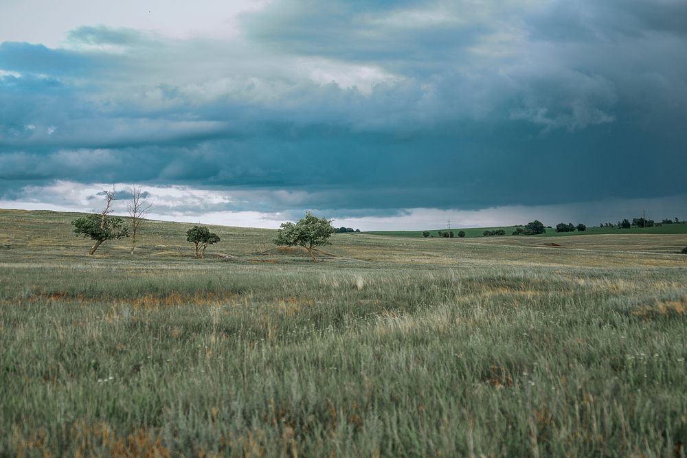 Фотография автора Elena Chilikina
