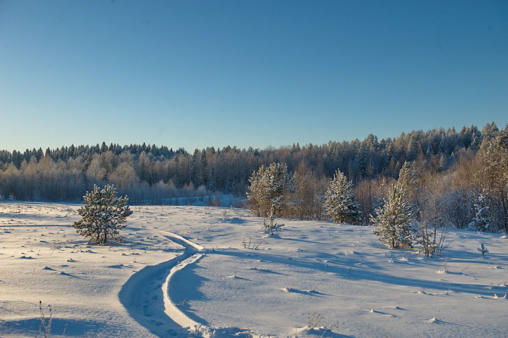 Photograph by Наталья Матюшина