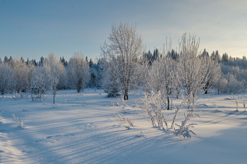 Photograph by Наталья Матюшина