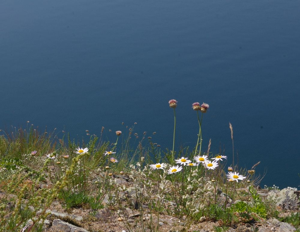 Photograph by Елена Алешкевич