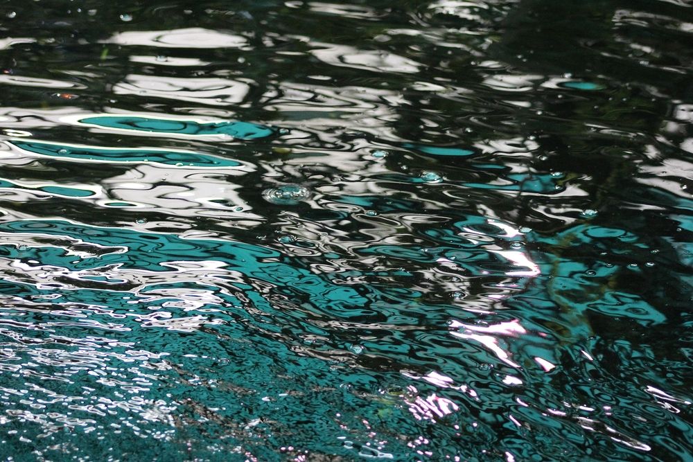 Photograph by Эльвира Лазарева