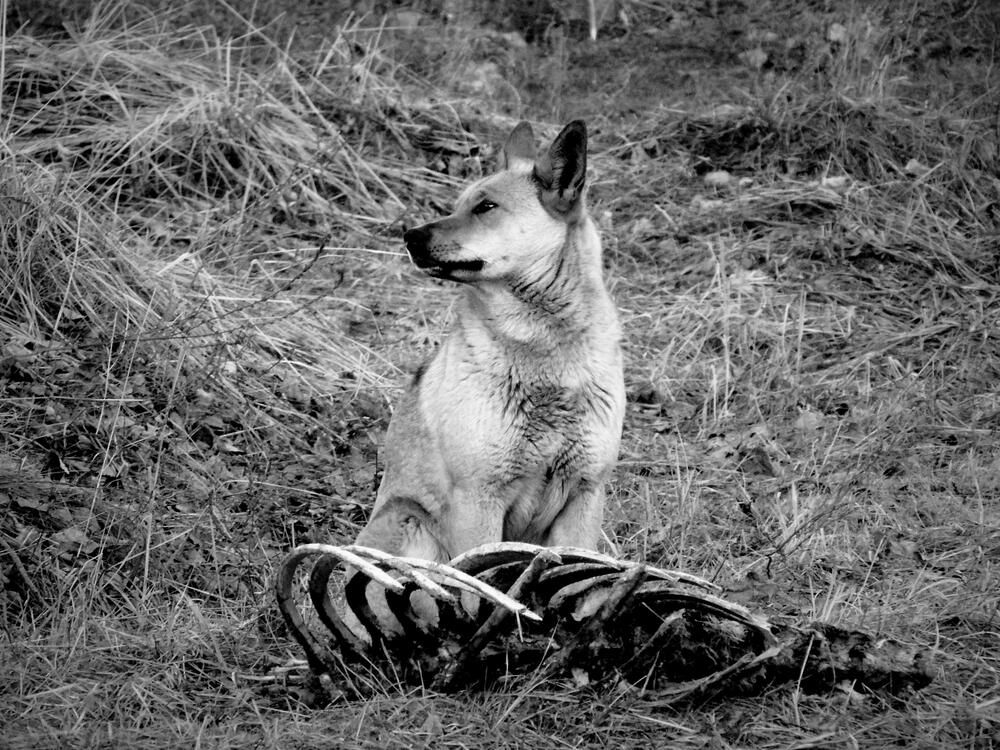 Фотография автора Екатерина Солохина
