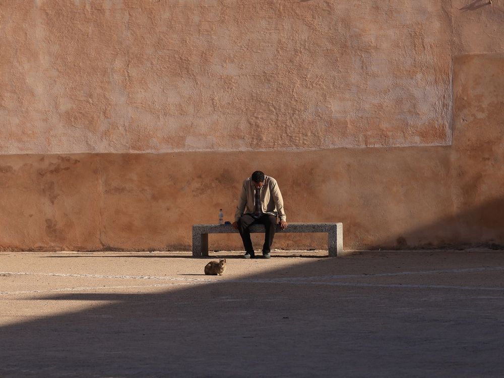 Photograph by Евгения Казакова