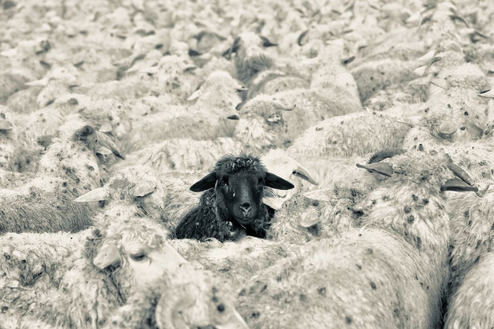 Photograph by Евгения Казакова