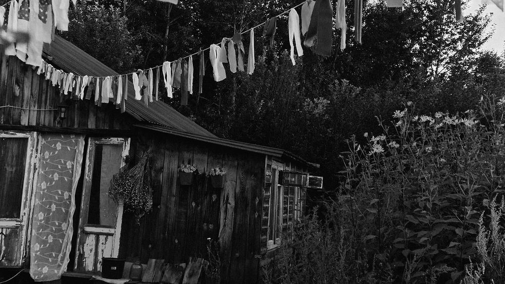 Photograph by Дарья Агапова