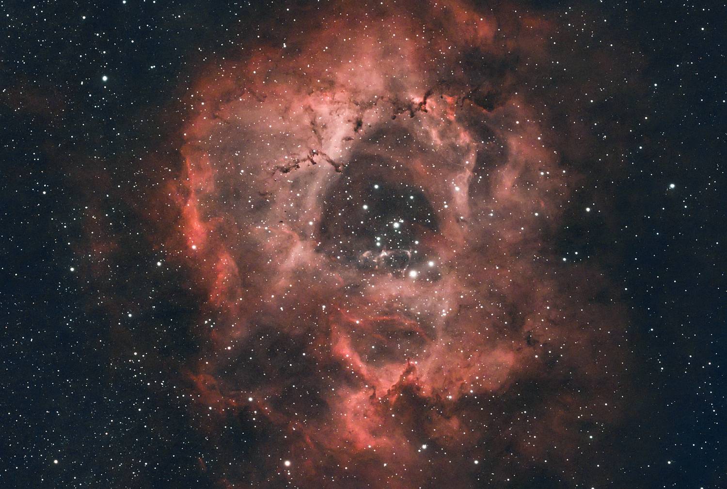 Фотография #12965751